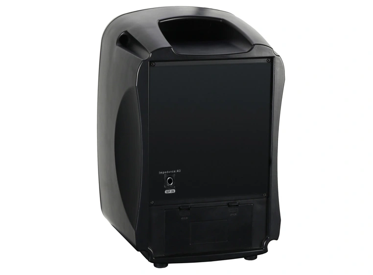 LD Systems Roadboy 65 SP Passive Slave Speaker 